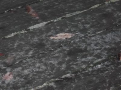 Here Comes The Snow Image